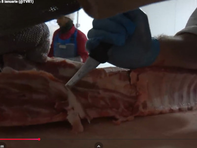 Viata satului - Agroline - 5