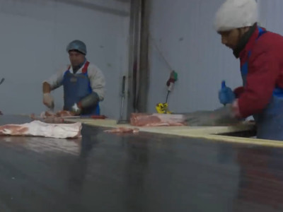 Viata satului - Agroline - 6