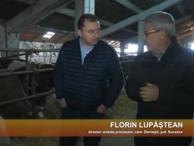 Viata satului - Agroline - 9